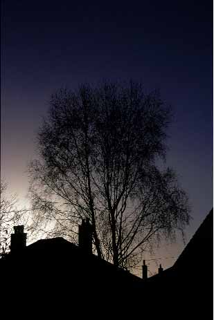 Sunset Charlotte Street